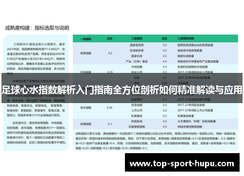 足球心水指数解析入门指南全方位剖析如何精准解读与应用 足球心水指数解析入门指南全方位剖析如何精准解读与应用