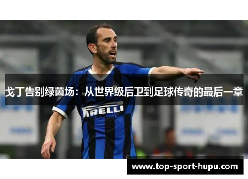 戈丁告别绿茵场：从世界级后卫到足球传奇的最后一章